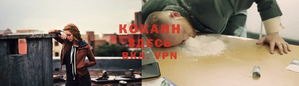 тгк Арсеньев