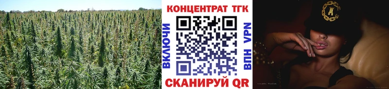 OMG зеркало Моздок ТГК концентрат как найти закладки