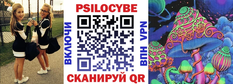 kraken как войти  Моздок  Галлюциногенные грибы прущие грибы  закладка 