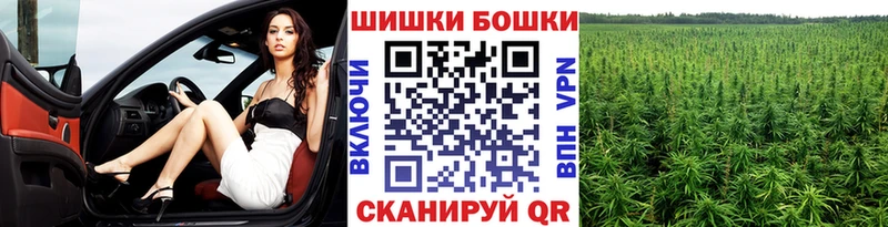 Шишки марихуана сатива купить сайты это телеграм Моздок
